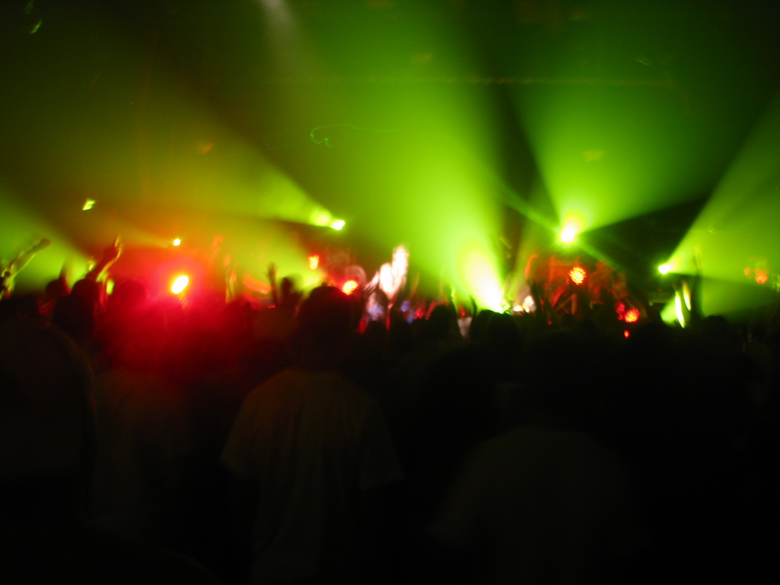IMG_8871.JPG