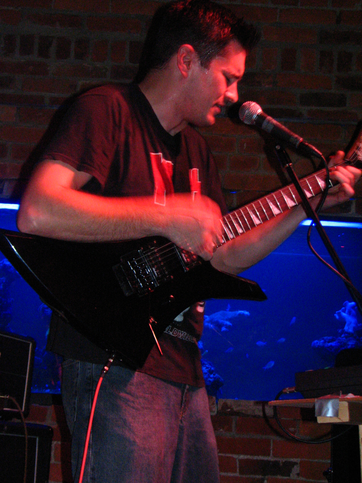 IMG_1375.JPG